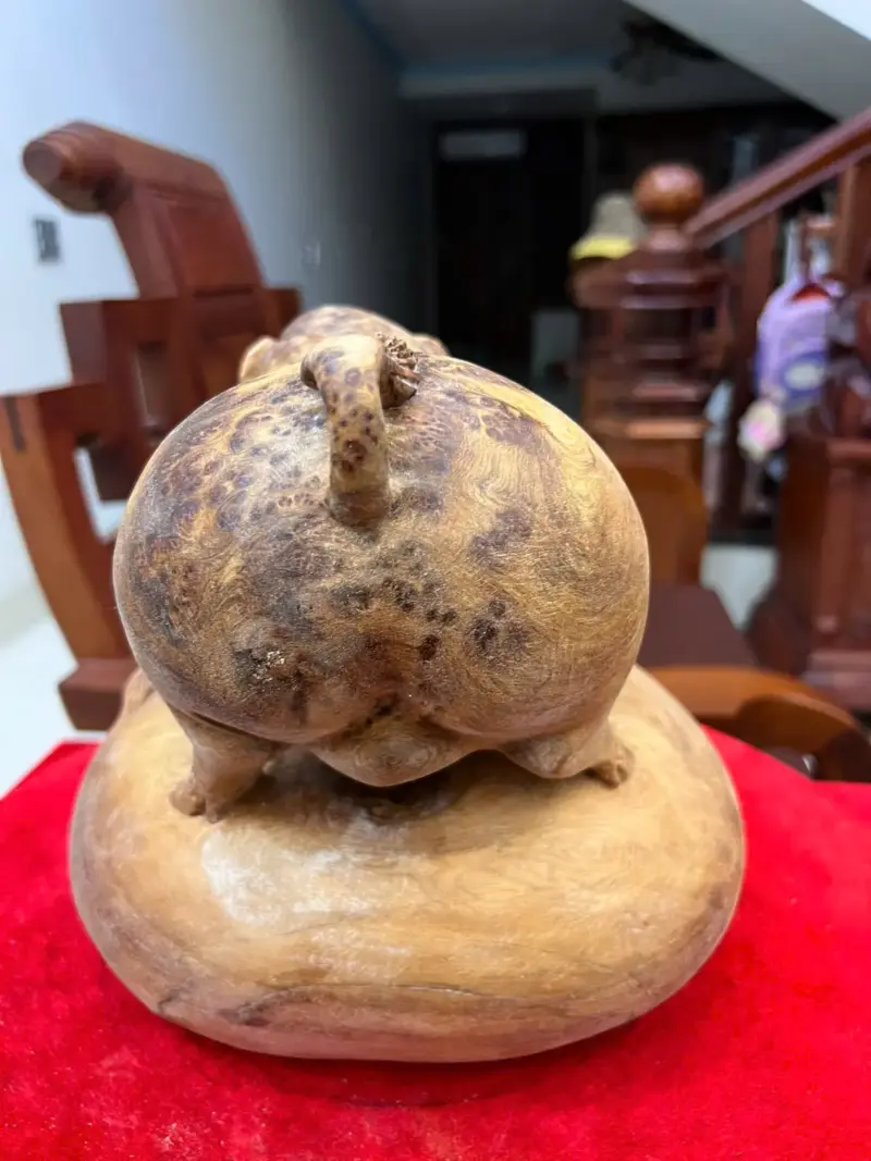 Tượng Gỗ Heo Gỗ Nu Ngọc Am Liền Khối Đang Lên Tuyết 21 - 23 - 21