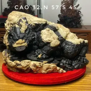 Tượng Cóc Gỗ Nu Mun Cao 32cm