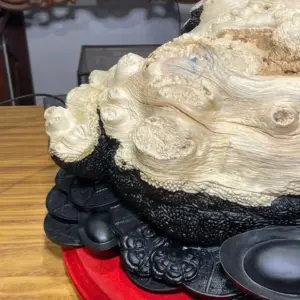 Tượng Cóc Gỗ Nu Mun Cao 32cm