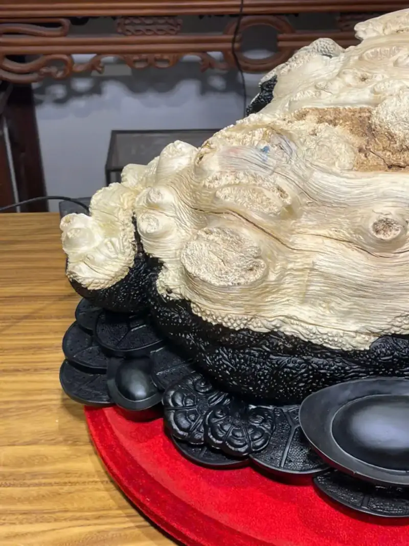 Tượng Cóc Gỗ Nu Mun Cao 32cm