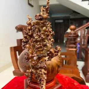 Bình Hoa Mai Gỗ Sưa Bắc Cao 27cm