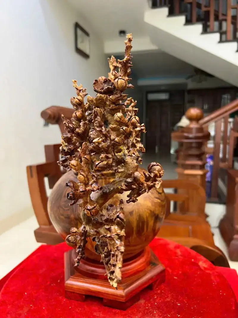Bình Hoa Mai Gỗ Sưa Bắc Cao 27cm